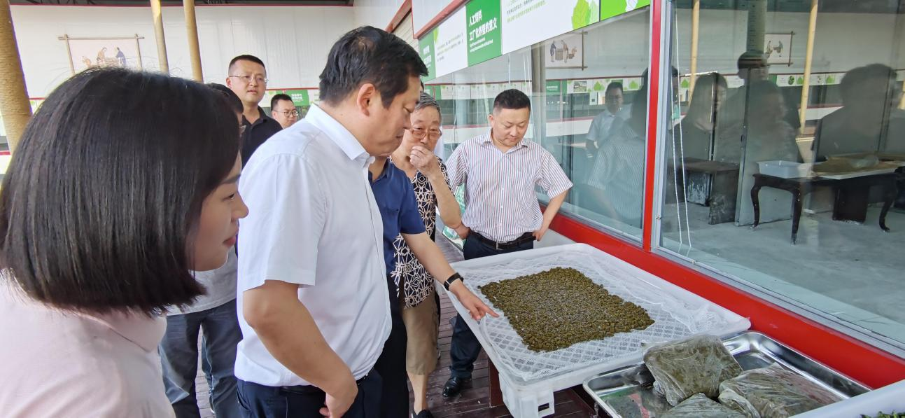 省尊龙凯时集团党委副书记、董事陈日赴嘉陵区调研茶桑产业发展情况